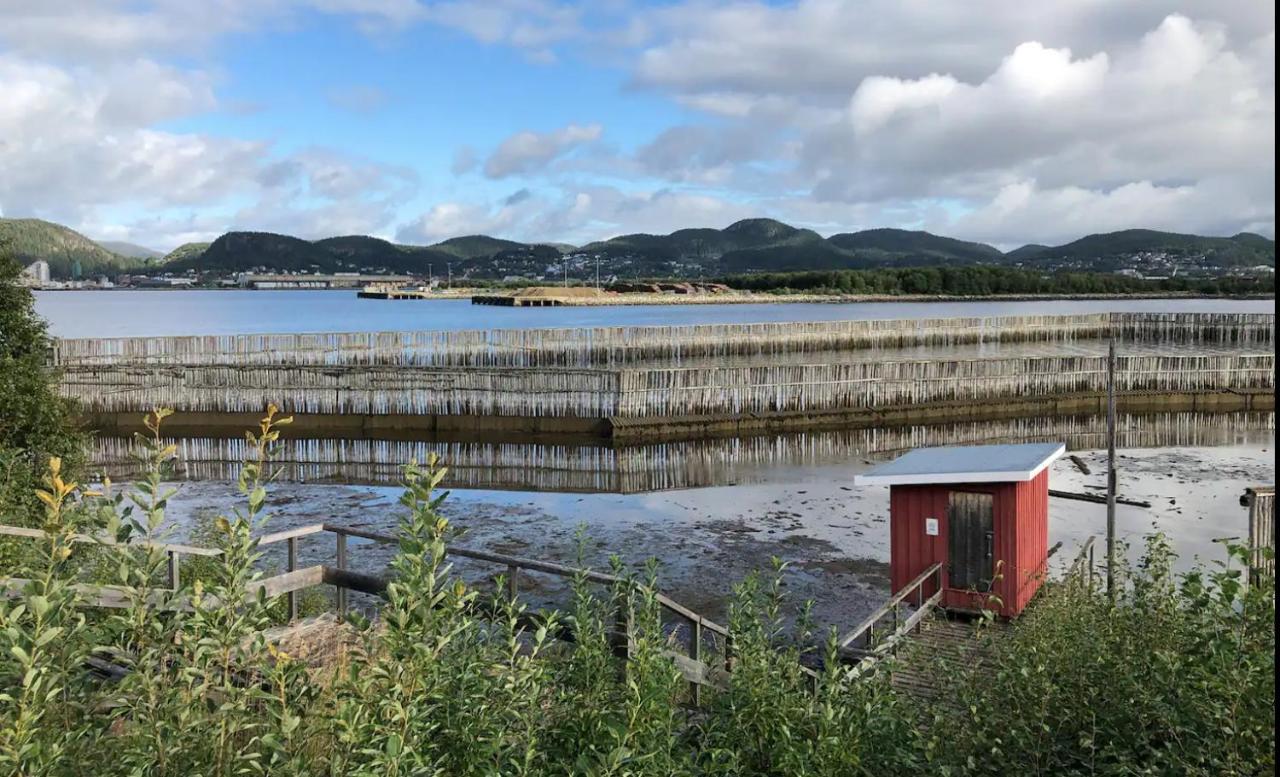 Appartement Stille Og Landlig, Men Sentrumsnaer Leilighet à Namsos Extérieur photo