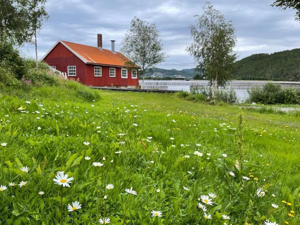 Appartement Stille Og Landlig, Men Sentrumsnaer Leilighet à Namsos Extérieur photo